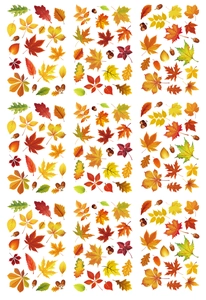 Detailed pattern of colorful autumn maple leaves and acorns for window static stickers
