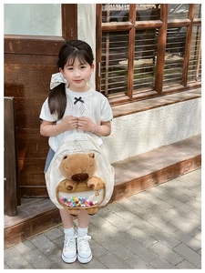 Detail of cute capybara plush toy and colorful pompoms inside the clear front pocket