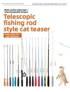 Retractable fishing rod cat wand toy set with colorful feathers and sponge handles