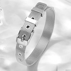 Bracelet en maille d'acier argenté avec boucle réglable de style bracelet de montre