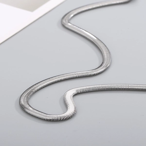 Macro detail of silver stainless steel flat snake chain showing polished texture and links