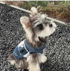 Détail du tissu en maille respirante et de la fermeture éclair sur le gilet bleu pour chien