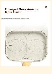 Macro view of non-stick stone coating pan with 18x13cm large steak cooking zone