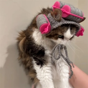 Funny knitted cat hat with pink plastic rollers for a humorous Halloween costume look