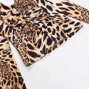 Detail of sexy deep V-neck leopard print top with ruched texture and long sleeves