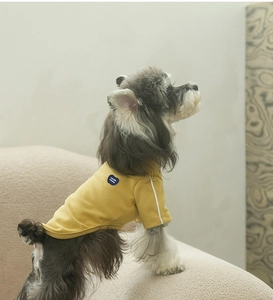 Détail du t-shirt jaune pour chien avec écusson cœur et poignets rayés pour petits chiens