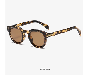 45-degree side view of retro tortoiseshell sunglasses with gold arrow hinges and brown lenses
