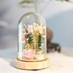 Preserved pink rose in glass dome with LED lights on wooden base for gift decor
