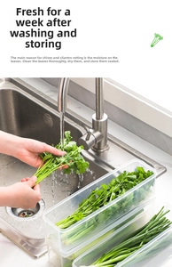 Detailed view of clear long food storage box for keeping fresh cilantro and green onions