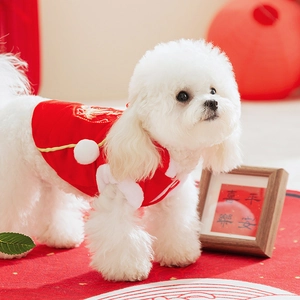 Festive red pet Tang suit for small dogs featuring traditional Chinese embroidery and fur trim