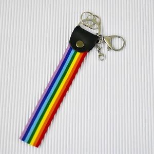 Regenbogenfarbenes Schlüsselband aus Stoff mit silberfarbenem Karabinerverschluss