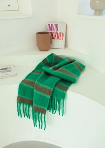 Close-up of green and brown striped knit scarf with decorative fringe tassels