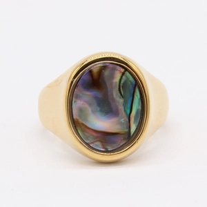 Minimalist gold titanium steel ring featuring an oval rainbow abalone shell inlay