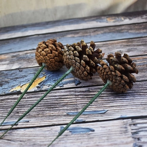 Natural pine cones on long wire stems for Christmas wreaths and home flower arrangements