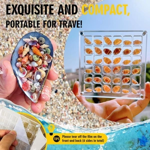 Magnetic acrylic shell display box with transparent grid for beach collection storage