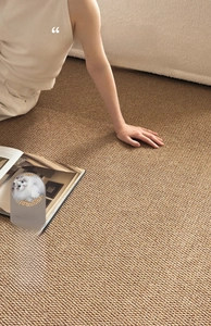 Detail of warm brown sisal texture rug with anti-scratch weave for living room