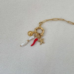 Detailed shot of golden necklace featuring seashell, red chili, and baroque pearl charms