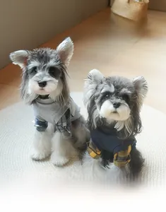 Detail of trendy pet hoodies with faux two-piece stitching and letter embroidery accents