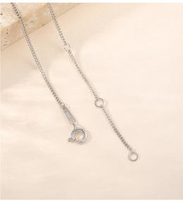 Macro detail of S925 sterling silver spring clasp and extension chain on silver necklace