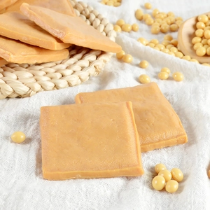 Detailed macro view of the textured surface of the realistic PVC dried tofu food model