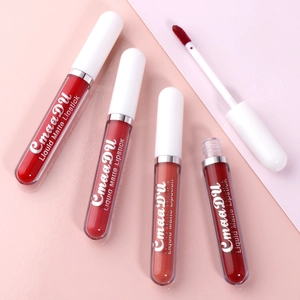 Lot de 4 rouges à lèvres liquides mats avec applicateur et texture imperméable
