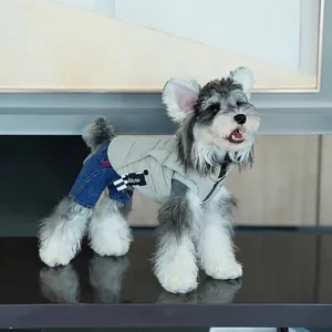 Chien portant une veste à zip beige et un jean bleu sur un socle noir moderne