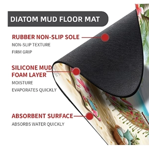 Detailed cross-section of the diatom mud mat showing its 3-layer absorbent structure