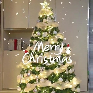 Decorated Christmas tree with LED lights, golden ribbons, star topper, and silver ornaments