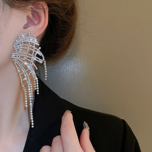 Close-up of silver mesh tassel earrings with sparkling rhinestones on a model