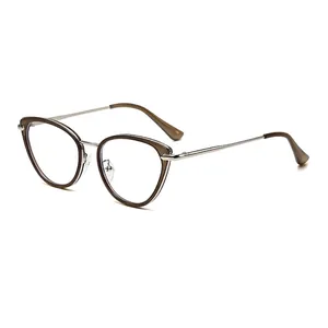 Oversized cat-eye sunglasses with transparent brown frame and sleek silver metal temples