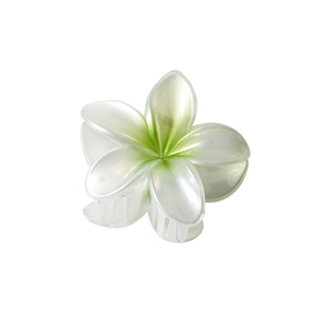 Elegante wit-groene kleurverloop plumeria bloem haarklem met een glanzende hars afwerking