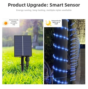Solar panel charging by day and blue LED pipe lights illuminating a pillar by night
