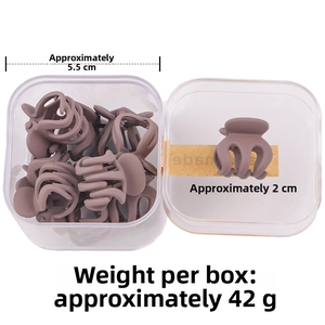 Pack de 10 mini pinzas de pelo mate tonos Morandi en caja transparente