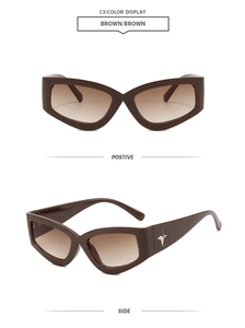 Detail of brown cat eye sunglasses featuring stylish silver star accents on the temples
