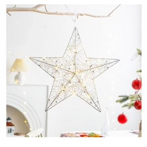 Stella luminosa bianco caldo appesa a rami bianchi per decorazione festiva di Natale