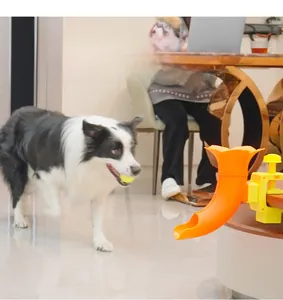 Close-up of orange pet automatic ball launcher slide clamped to table with Border Collie