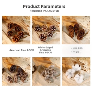 Detail of pine cones and natural cotton with dimensions for Christmas decorations