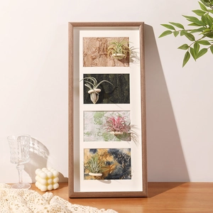 Deep brown wooden frame detail featuring four air plants on textured fabric backgrounds