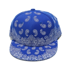 Detailed close-up of blue paisley flat brim baseball cap with white bandana pattern