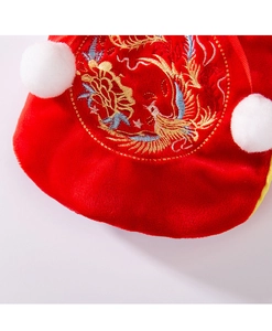 Close-up of traditional red velvet pet Tang suit with detailed golden embroidery