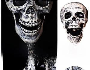 Detailed view of Halloween skull with realistic weathered texture and cracks for spooky decor