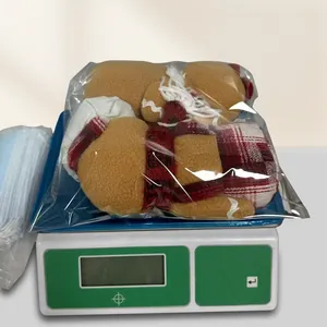 Detailed weight measurement showing a gingerbread plush doll weighing 450.5 grams