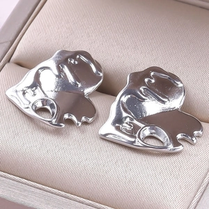 Macro shot of silver-toned lion head stud earrings in 304 stainless steel jewelry box