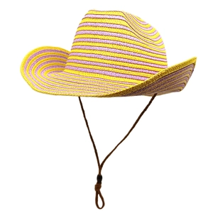 Detail of yellow and purple striped woven straw cowboy hat with adjustable chin strap