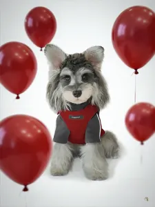 Close-up of red and grey dog puffer vest with branded tag on a schnauzer dog model
