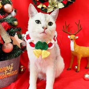 Close-up of a festive hand-knitted pet collar with bells on a white cat, Christmas theme