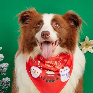 Close-up of Border Collie wearing a red Christmas pet bandana with festive cartoon patterns