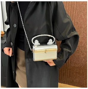 Close-up of a silver acrylic box bag with gold lion head hardware and chain strap