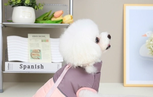 Close-up of a quilted two-tone pet vest with zipper on a Bichon Frise dog