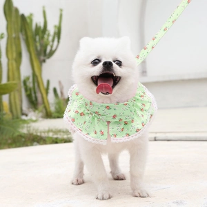Close-up of green floral pet bib with lace trim and matching leash for dogs and cats